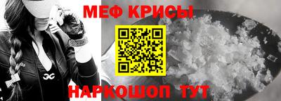 молекула духа Кингисепп