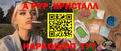молекула духа Кингисепп
