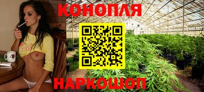 apvp Кимры