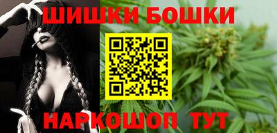 молекула духа Кингисепп