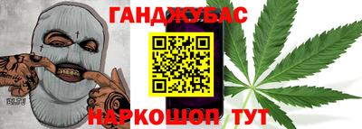 молекула духа Кингисепп