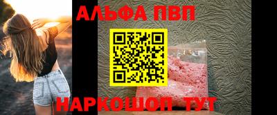 молекула духа Кингисепп