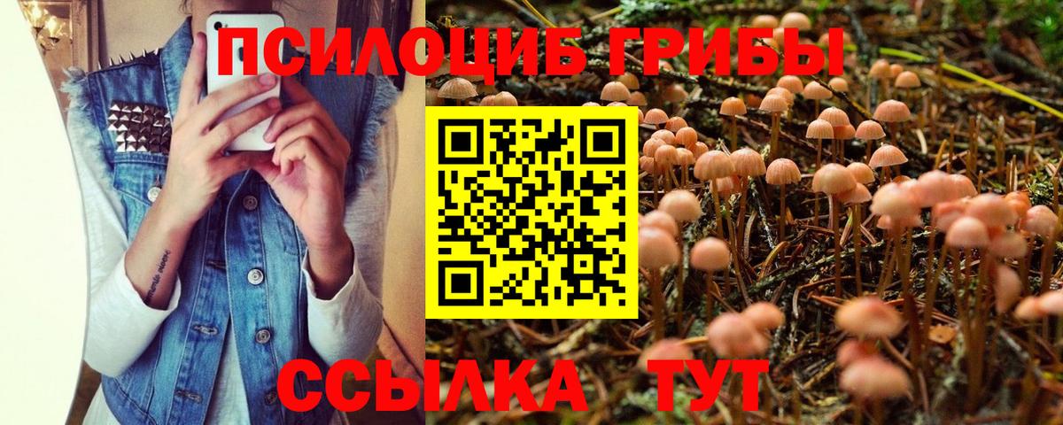 Галлюциногенные грибы мицелий Кингисепп