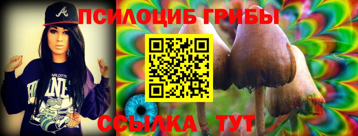 Галлюциногенные грибы мицелий  Галлюциногенные грибы Psilocybine cubensis  Кингисепп  Вход с VPN 